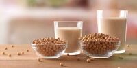 Best Non-Dairy Milk Alternatives for Coffee: Cashew, Almond, Coconut, or Soy Milk?