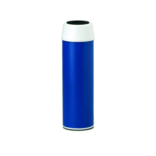 Everpure EV910813 CGT-10S