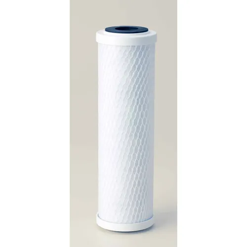 Everpure EV910857 CG53-10S
