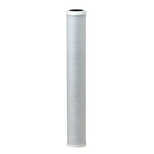 Everpure EV910863 CG53-20