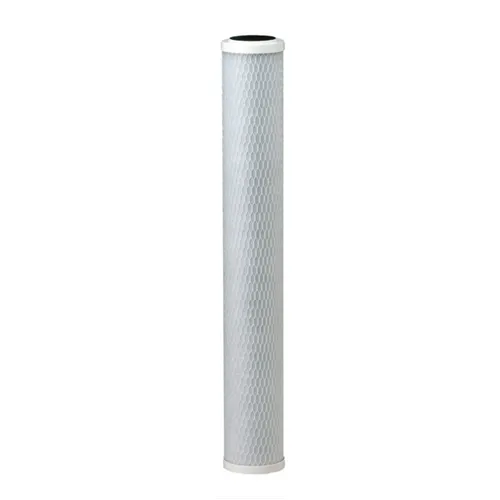 Everpure EV910867 CG53-20S