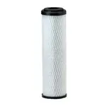 Everpure EV910815 CG5-10