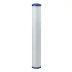 Everpure EV910825 CG5-20