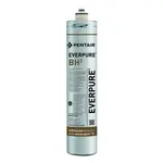 Everpure EV961250 BH2 Replacement Cartridge